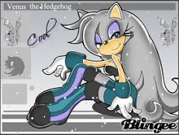 Resultado de imagen para venus the hedgehog