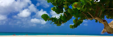 Eagle beach is a beach and neighbourhood of oranjestad, aruba. Die 10 Besten Hotels In Palm Eagle Beach Aruba Ab 63