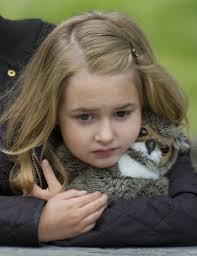 Viewers awaiting glimpse of hatching owl eggs