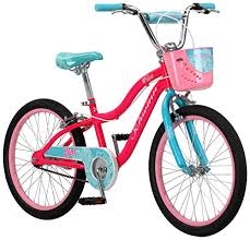 Maksimum sebanyak rm1,000 sekeluarga sebulan. Belanja Schwinn Elm Girls Bike Untuk Balita Dan Kanak Kanak