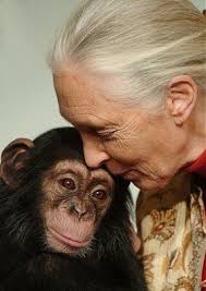 Primatologist Jane Goodall