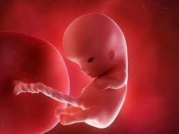 Common causes of vomiting in babies include: 10 Weeks Pregnant Here Is What You Should Expect Times Of India
