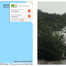 Image result for Vahlia digyna