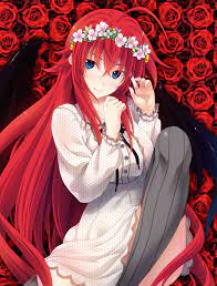 How old is rias gremory from dxd? Rias Gremory High School Dxd Wiki Fandom