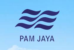 Tabel Besaran Gaji Direksi Dan Badan Pengawas Pdam Jaya Gajibaru Com