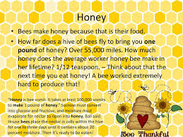 What is the range of a honey bee? Honey Bees Ms Madlon Ppt Video Online Download