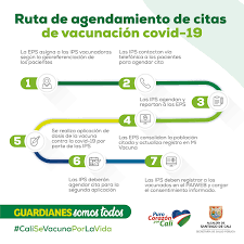 Obtén la última información y respuestas a las preguntas frecuentas sobre la vacuna contra el coronavirus. Como Agendar Cita