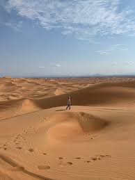 The rolling dunes of sand that make up the desert regions surrounding dubai are a sight to behold, and a tour with desert safari dubai is a perfect way to see the lay of the land. Tripadvisor Dubai Desert Safari With Bbq Dinner Camel Ride And Shows Provided By Top 10 Dubai Tours Emirate Of Dubai