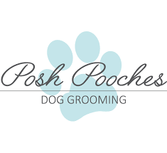 We did not find results for: Puppy Dog Grooming Peterborough Pick Up Drop Off Posh Pooches