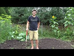List of fall vegetables to grow these 7 varieties are easy to grow even for a beginner gardener. How To Plant A Fall Garden What Is Good To Plant Migardener Youtube
