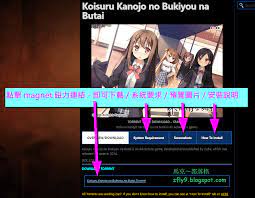 資源網站收集: 英文日文H-Game 成人遊戲下載站gamestorrent 之說明