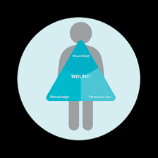 Triangle Of Wound Assessment Corporate