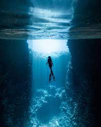 Erin Sullivan Erinoutdoors Instagram Photos And Videos Underwater Photography Ocean Photography Nature Landscape Photography