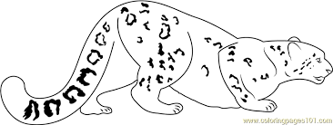 Check spelling or type a new query. Snow Leopard Going For Hunting Coloring Page For Kids Free Snow Leopard Printable Coloring Pages Online For Kids Coloringpages101 Com Coloring Pages For Kids