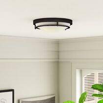 Maybe you would like to learn more about one of these? Flush Mount Lighting Wayfair