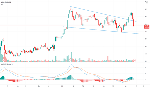Check out stock performance, f&o quotes, historical chart, market capitalisastion, dividends, financial news and wipro share price. Fooh9j5bx9u2m