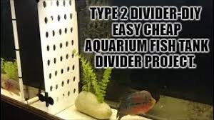 If your looking for a diy tank divider boy do i have a fun hack for you! Type 2 Make A Cheap Easy Diy Aquarium Fish Tank Divider Youtube
