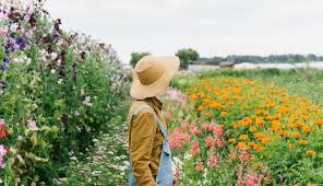 An immaculate gift that represents a pure, enduring and effortless love. Late Bloomers Flower Farm On Farming Leased Land
