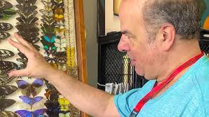 OLIVER GREER MEASURES A GIANT BEETLE!