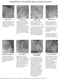 Pic Of Fingerprint Patterns And Classifications Types Of Fingerprints Forensics Fingerprint