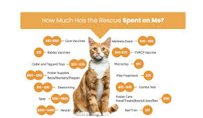 Maybe it's because of their intelligence and love of people. Adoption Fees Beautiful Together Animal Sanctuary
