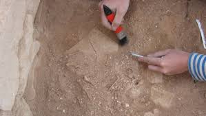 2) ответь на вопрос, выбрав правильный вариант. Byzantine Pigeon Poop Greened The Negev 1 500 Years Ago Israel21c