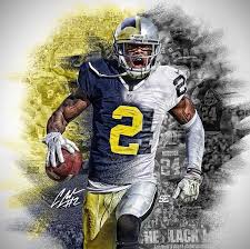 It's always been charles woodson's dream to be a symbol of hope for sick children. Charles Woodson Michigan Raiders 749x743 Wallpaper Teahub Io