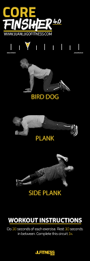 5 side plank alternative exercises. Here S A Beginner Core Workout With A Plank Side Plank And Bird Dog You Will Complete The Circ Core Workout Core Exercises For Beginners Workout Instructions