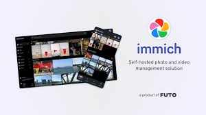 Immich logo