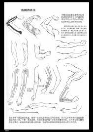 人人网 浏览相册 人物结构基础 art story drawings art