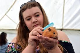 GALLERY: Otley Show attracts huge crowds and record entry of sheep