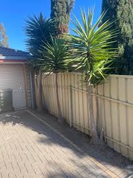 Reliable, Affordable Tree and Stump Removals at West Hindmarsh