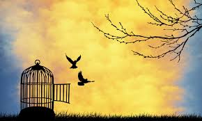 Image result for caught self sabotaging