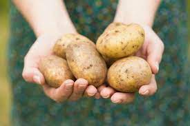 See full list on farmhouseguide.com Converting Two Pounds Of Potatoes To Cups Thriftyfun