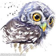 Bisa kaos lengan pendek / panjang / singlet. Juragan Poster Jual Poster Gambar Hewan Lukisan Burung Hantu Jual Jualan Poster Juraganposter Binatang Hewan Owl Watercolor Owl Painting Owl Illustration