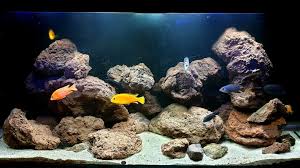 Weitere ideen zu lavastein, lava, esstischleuchte. 25 Kg Lava Steine 200 500 Mm Aquarien Deko Kaufland De