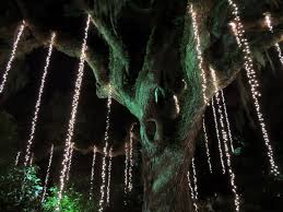 Brookgreen Gardens Nights Of 1000 Lights Murrells Inlet Sc Places To Travel Myrtle Beach Murrells Inlet