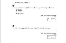Evaluare nationala clasa a 6 a. Evaluare NaÈ›ionalÄƒ 2019 Clasa 4 RomanÄƒ Subiecte È™i Ce PicÄƒ MarÈ›i Antena 1