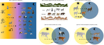 Effects of human disturbances on wildlife behaviour and consequences for  predator-prey overlap in Southeast Asia | Nature Communications