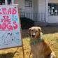 Read to the Dogs