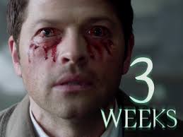 Supernatural Fans For Life