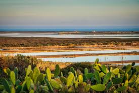 Check spelling or type a new query. The Best Beaches In The Algarve Portugal Budget Your Trip