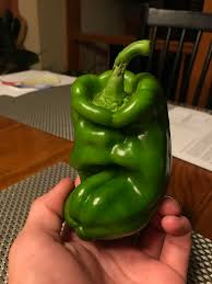 We did not find results for: Eustace Bagge Couragethecowardlydog