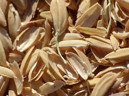 Literally, a husk or hull includes the protective outer covering of a seed, fruit, or vegetable. Raising 20 Million In A Third Round Of Equity Venture Capital Husk Power Systems Plans To Advance Microgrids And Mini Grids For Remote Communities
