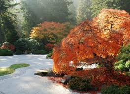 Japanese Garden Portland Oregon Portland Japanese Garden Japanese Garden Japanese Garden Design