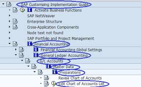 How To Create New Chart Of Accounts In Sap Chart Of