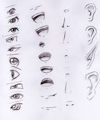 Eyes Nose Ears Mouth Nose Drawing Anime Drawings Tutorials Drawing Tips If you want to draw your favorite character or when you first start the head, draw the outline and the basic shapes so you can properly place the features.