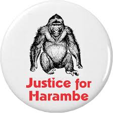 Image result for tbn:pp7gQVtVpU65xM::www.al-amakn.net/up2/uploads/f8c80490bc.jpg