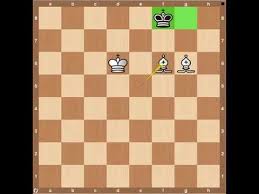 Play chess against family and friends in messages! Chess Endgames Checkmate With Two Bishops Youtube