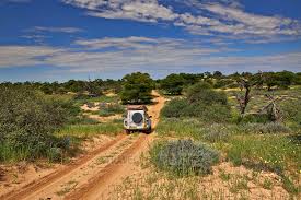 Kgalagadi Transfrontier National Park 